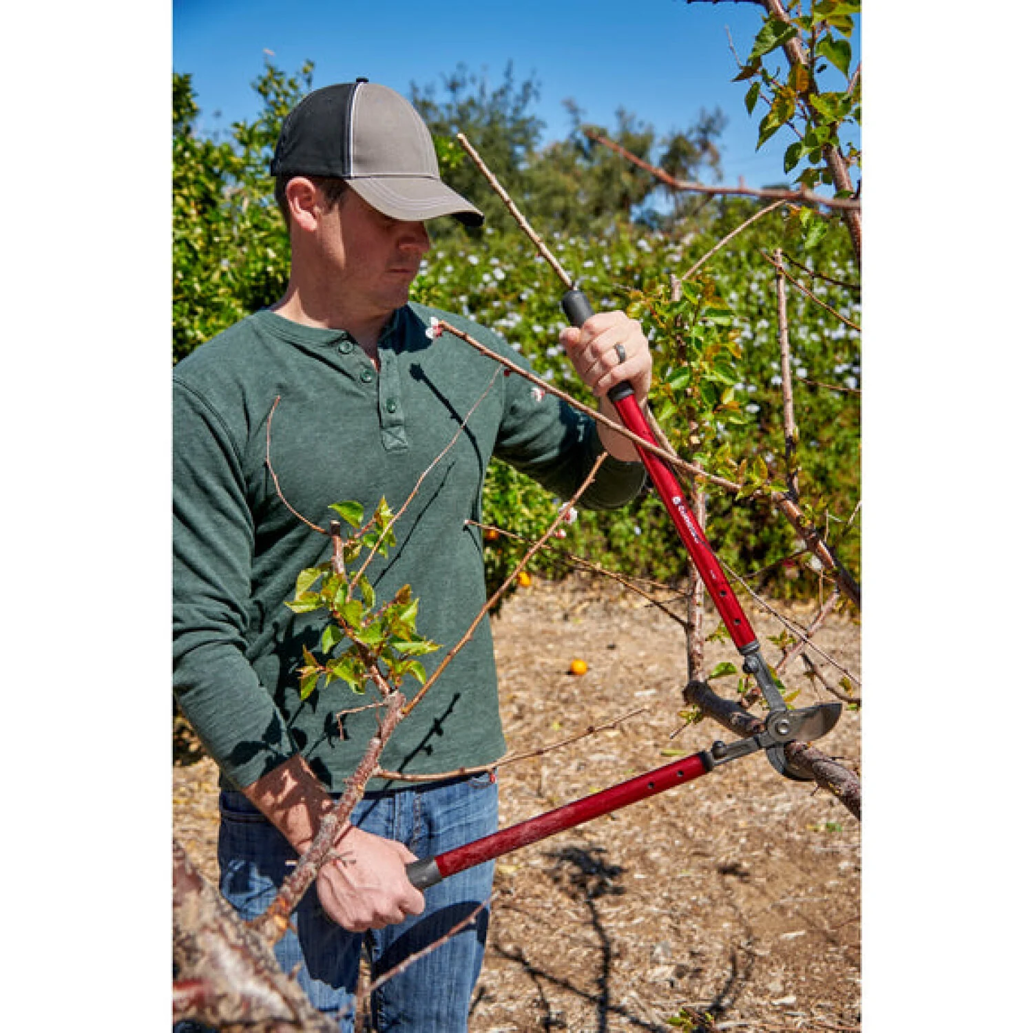 Corona AL 6512 High-Torque Bypass Lopper - 26 Inch - Image 12