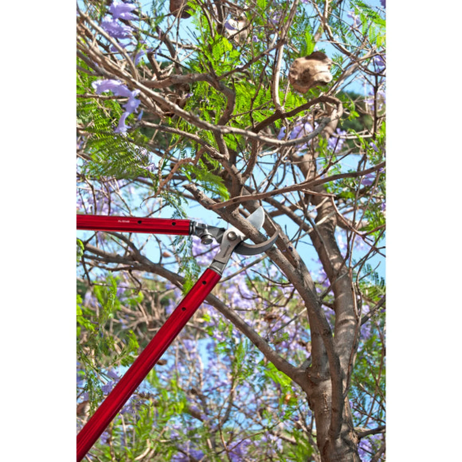 Corona AL15149  ClassicCUT® Bypass Lopper - 36 Inch - Image 11
