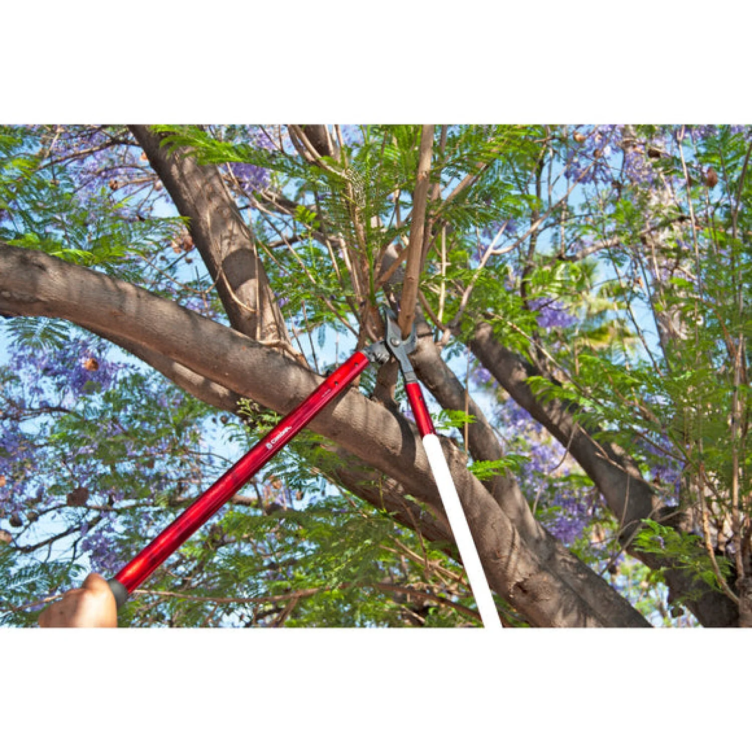 Corona AL15149  ClassicCUT® Bypass Lopper - 36 Inch - Image 6