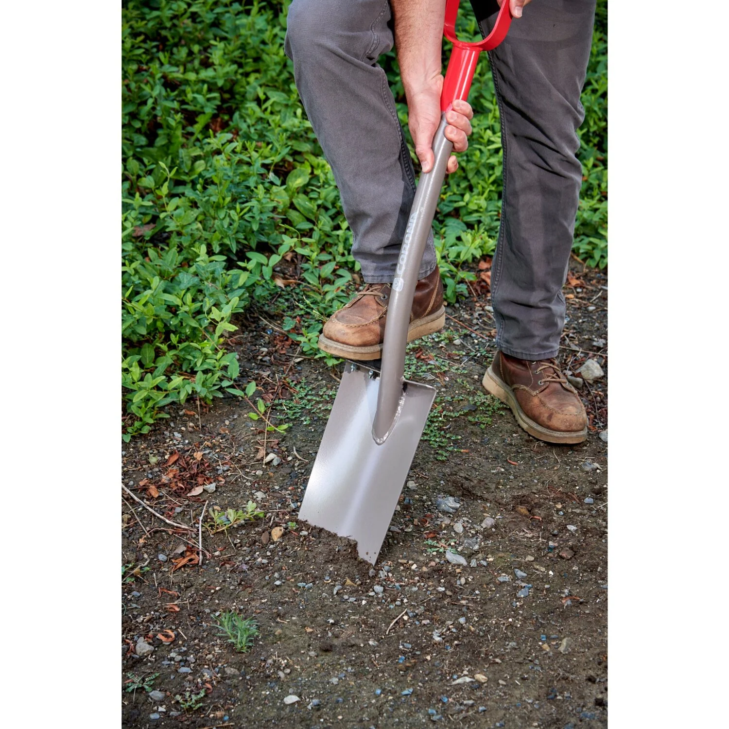 Corona AS 90010 All-Steel 12-Gauge 12 in. Straight Blade Shovel, D-Grip Steel Handle - Image 4