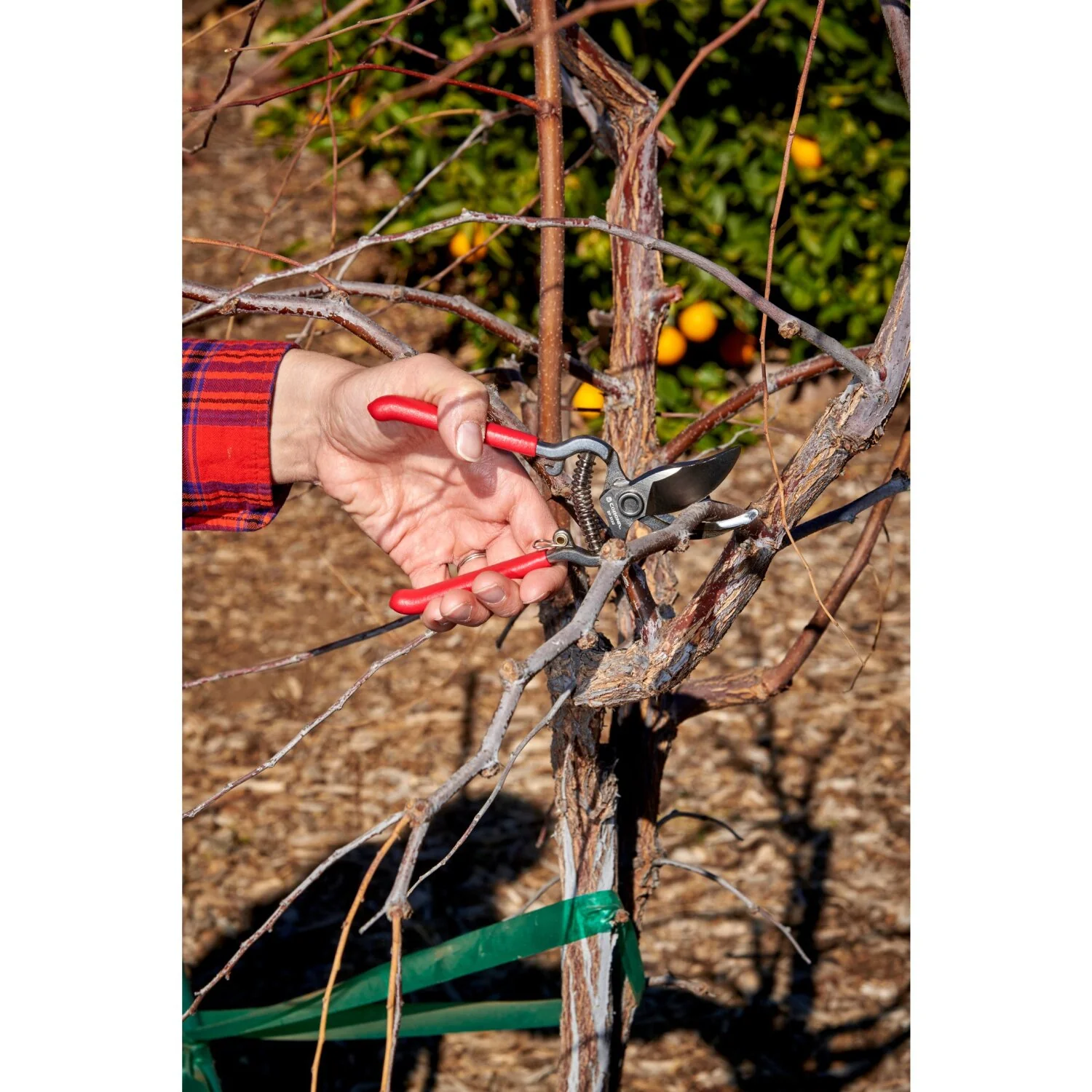 CORONA-BP 3130 · ClassicCUT Bypass Pruner - 1/2 Inch - Image 8