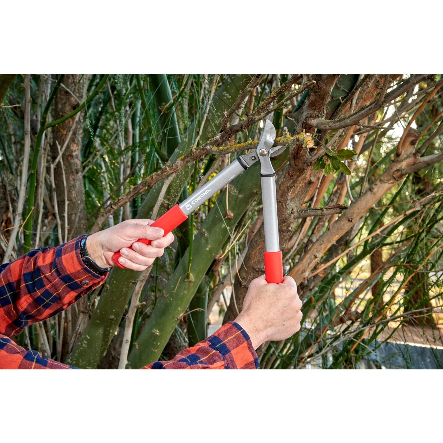 Corona BP 3225D Classiccut Two-Handed Pruner - 3/4 Inch - Image 6