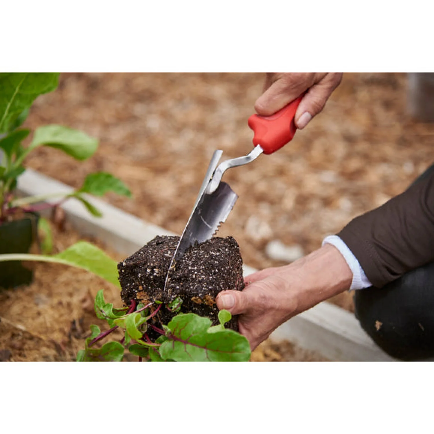 Corona CT 3324 ComfortGEL® Transplanter Premium StainlessSTEEL - Image 2