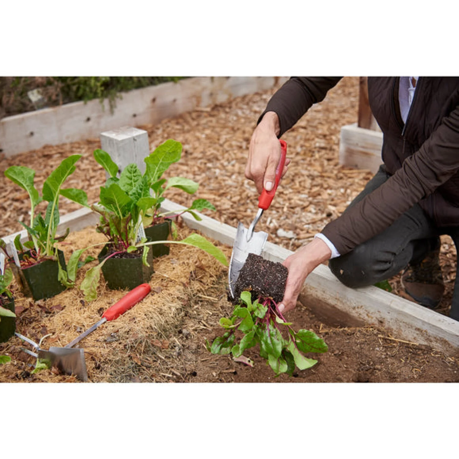 Corona CT 3324 ComfortGEL® Transplanter Premium StainlessSTEEL - Image 7