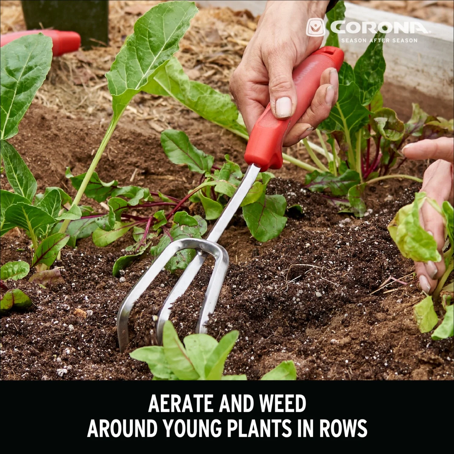 Corona CT 3334 ComfortGEL Cultivator Premium Stainless Steel - Image 2