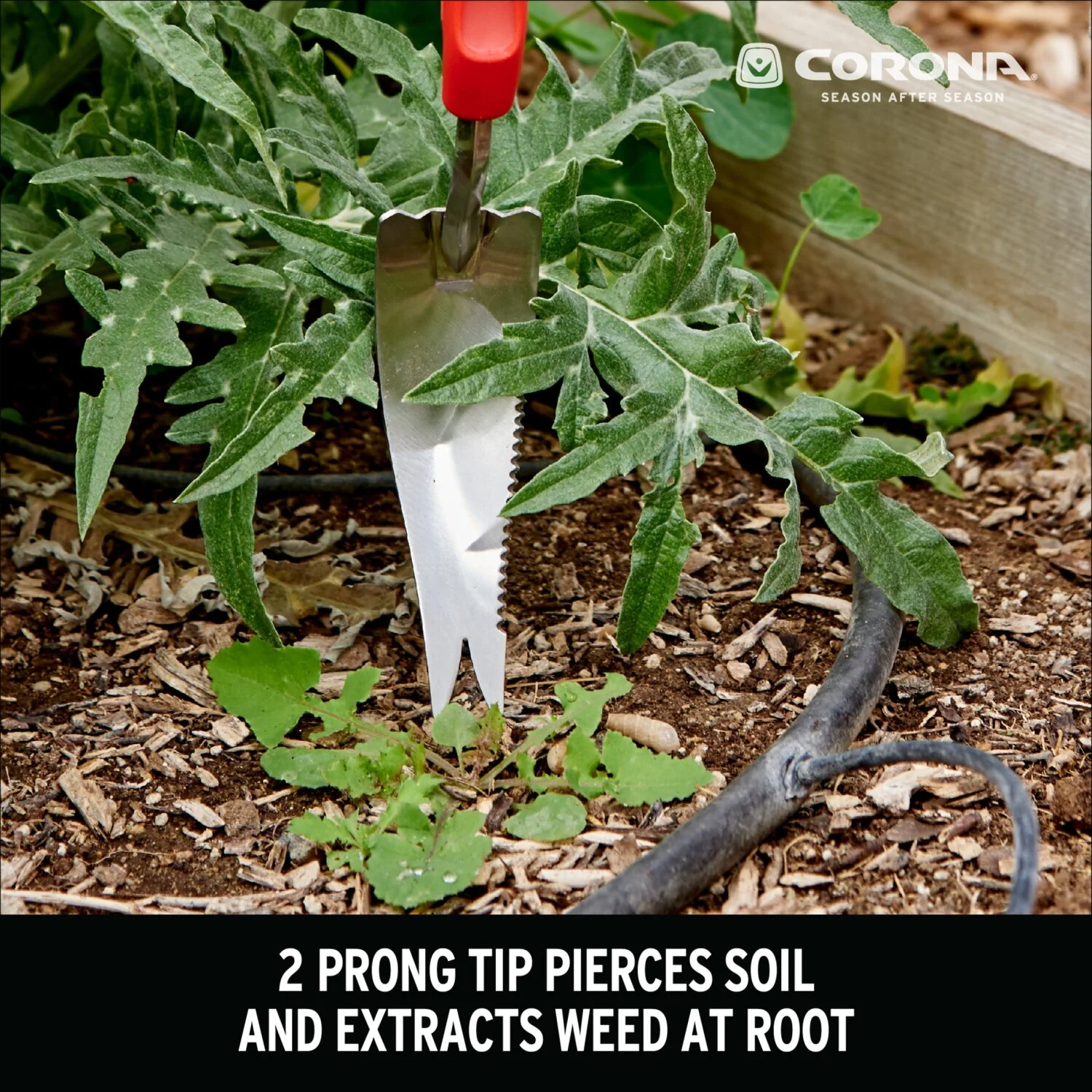 Corona CT 3354 ComfortGEL Weeder Premium Stainless Steel - Image 6