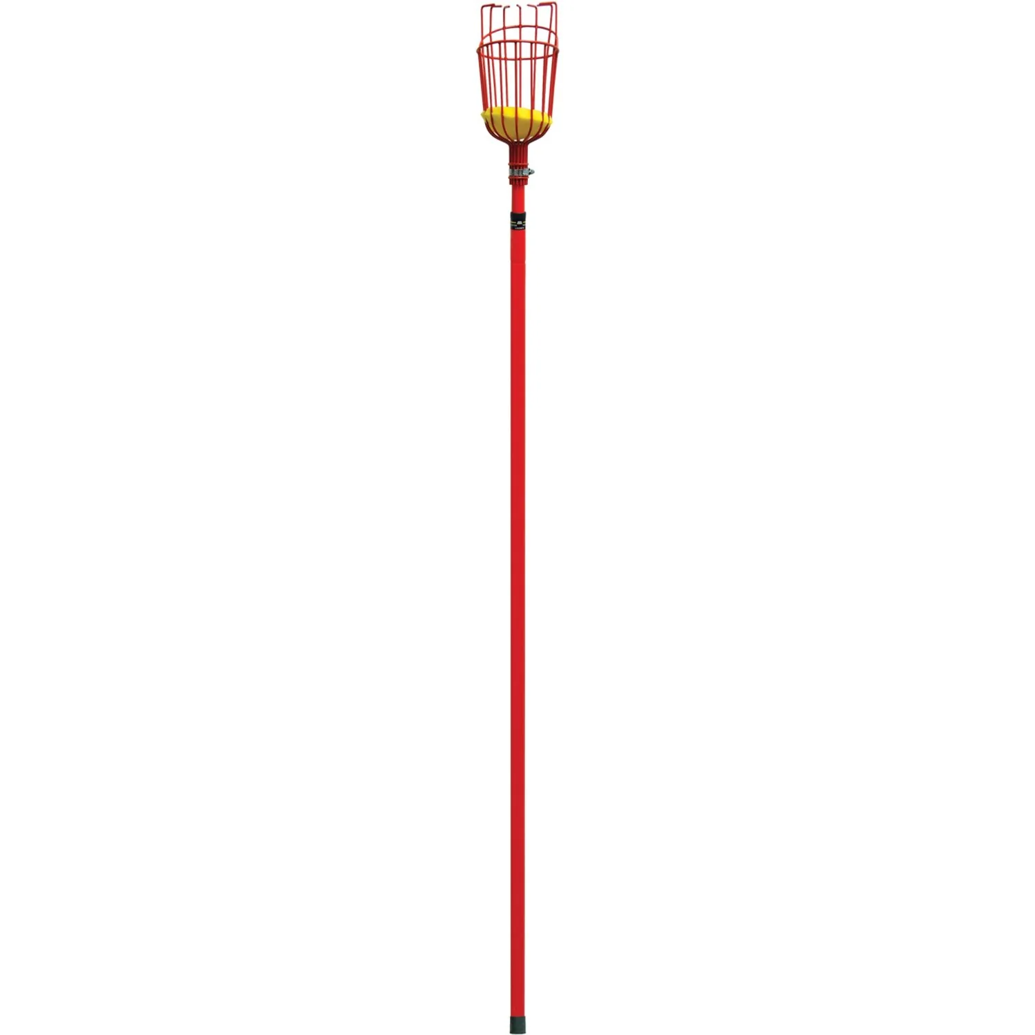 Corona FP 2312 Extendable Fruit Picker, 12 ft.