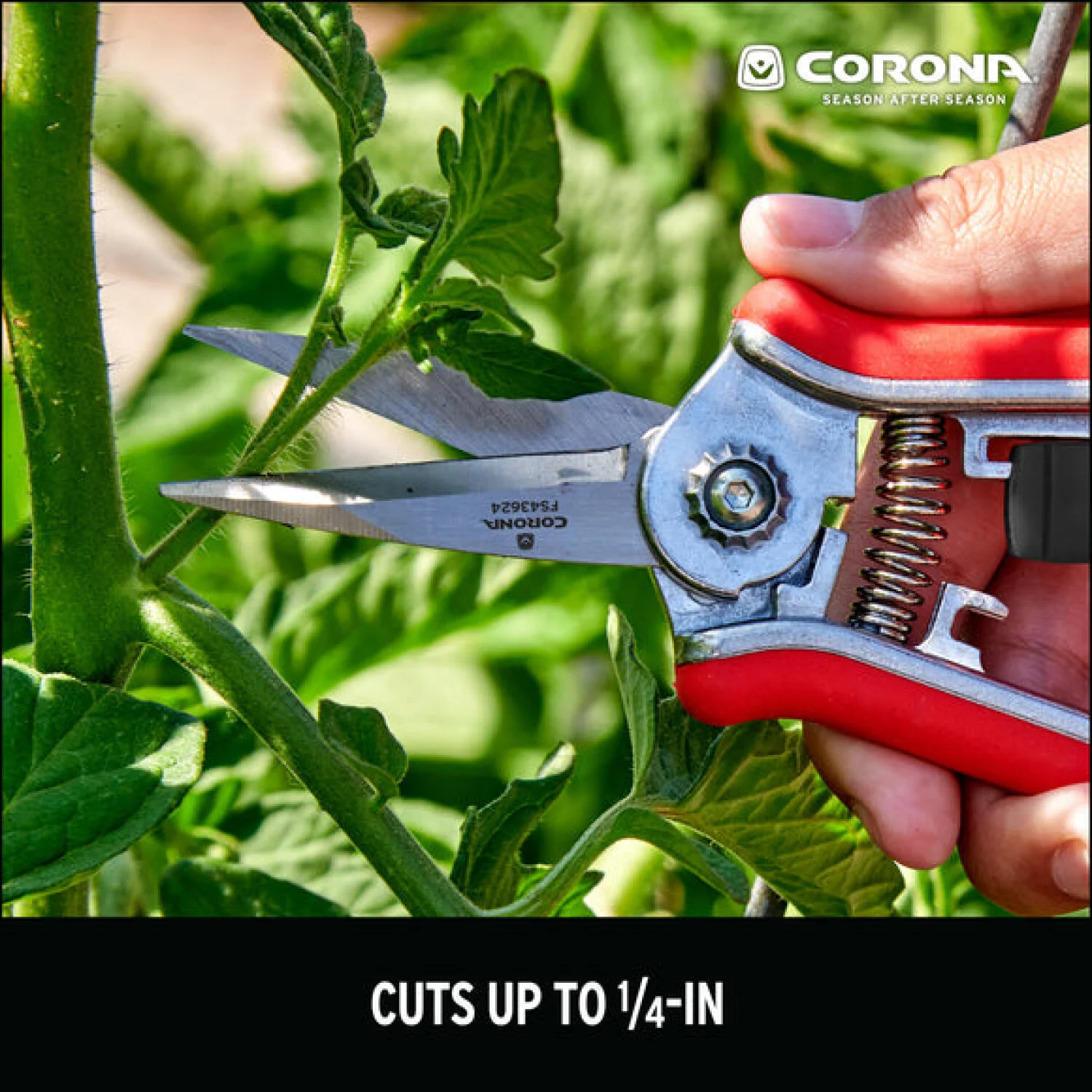Corona FS43623  Mini Floral Snips - RED Only - Image 3
