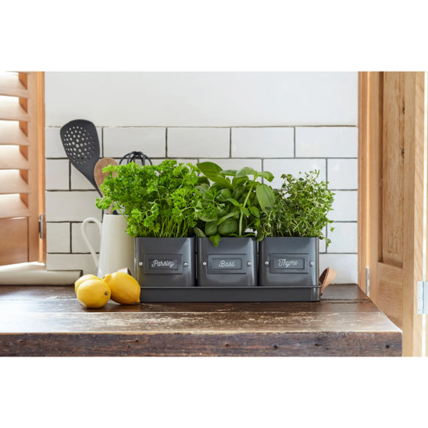 CORONA-GEN/HERBCHARCOA · Burgon & Ball® Herb Pots Leather Handled Tray-Charcoal - Image 2