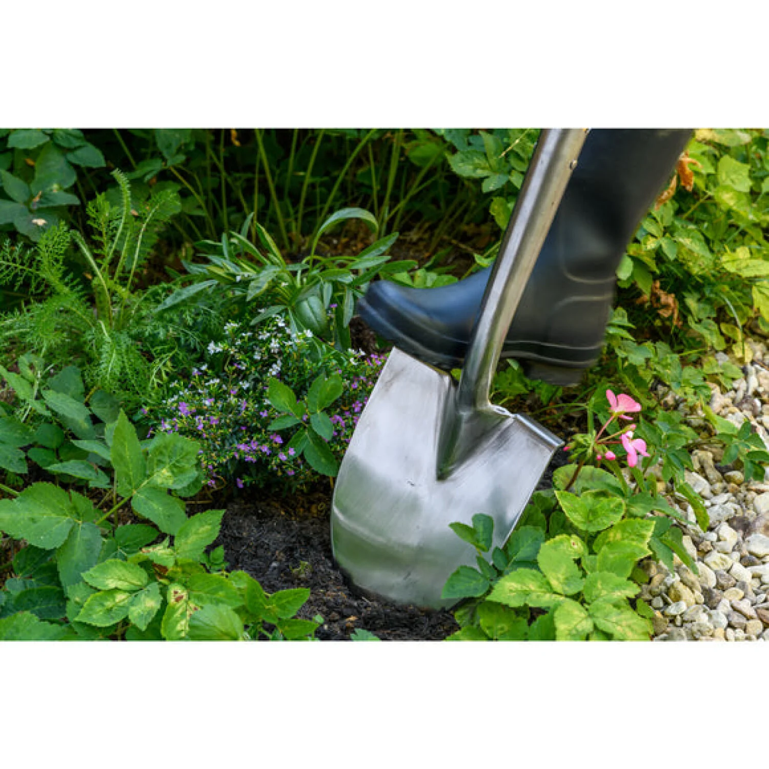 Corona GTB/SGSBRHS RHS® Stainless FSC Wood Groundbreaker Spade - Image 4