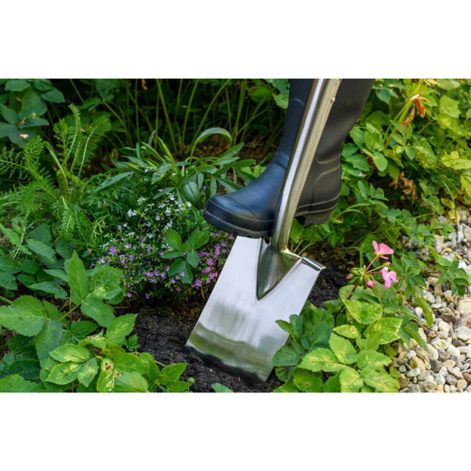 Corona GTB/SSBRHS RHS® Stainless FSC Wood Border Spade - Image 2