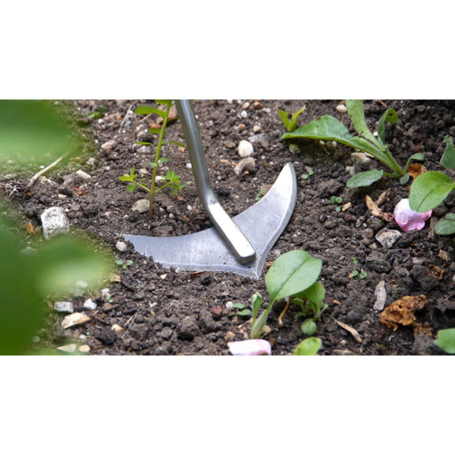Corona GTC/SLICE Burgon & Ball® FSC Wood Weed Slice - Image 4