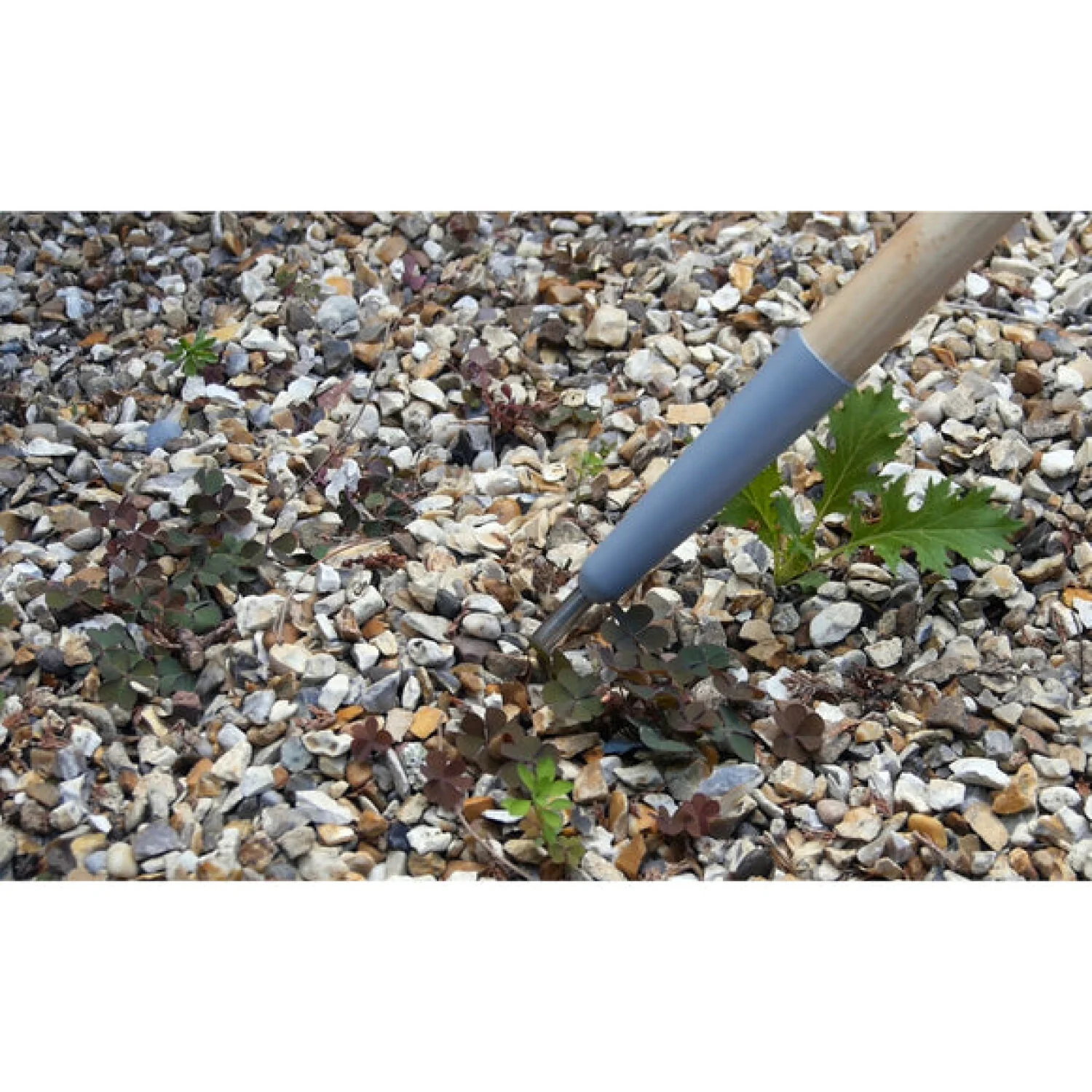 Corona GTC/SLICE Burgon & Ball® FSC Wood Weed Slice - Image 6
