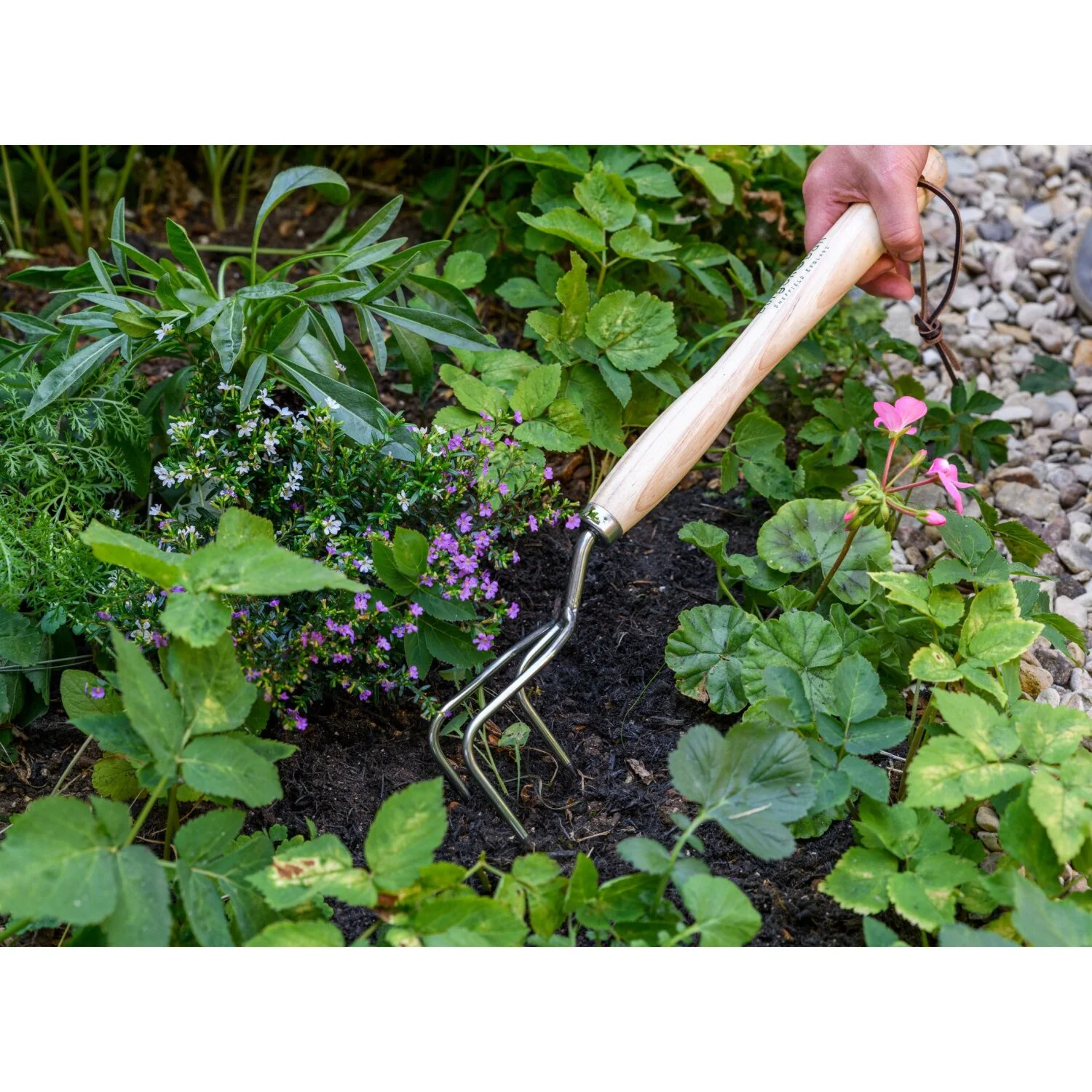 Corona GTH/SCCMHRHS Mid-Handled Stainless Steel Claw Cultivator, Wood Grip, RHS Endorsed - Image 5