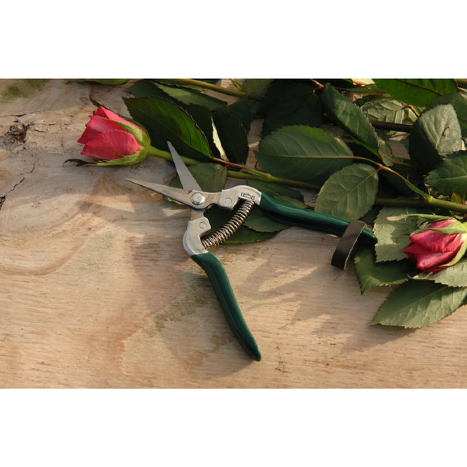 Corona GTO/FFS  RHS® Flower & Fruit Snip - Image 7
