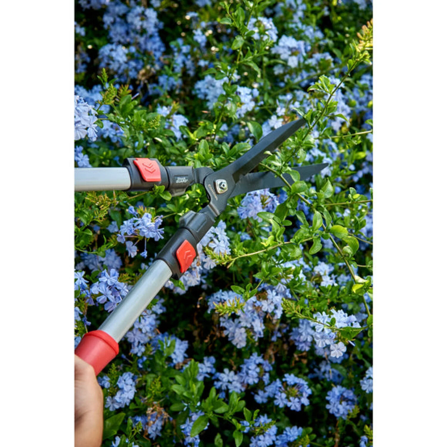 Corona HS 3344D  ComfortGEL® Extendable Hedge Shear - Image 9