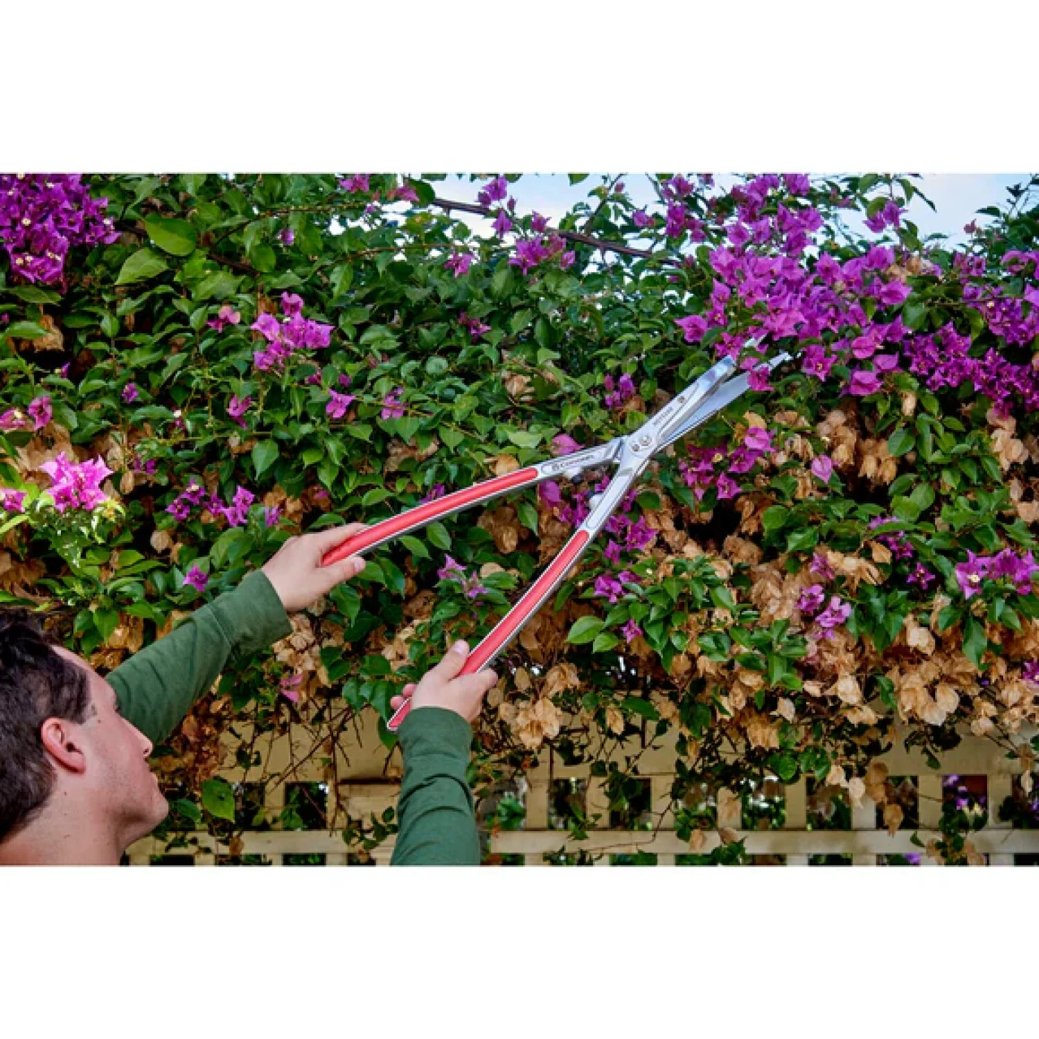 Corona HS15340CC PrecisionCUT Aluminum Hedge Shears 7-1/4 in. blades, 12-3/4 in. handles - Image 7