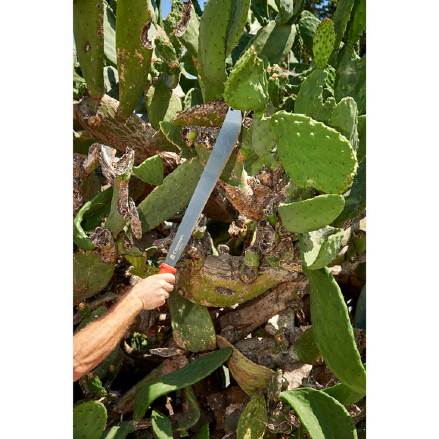 Corona MA 60061  Machete - 18 Inch - Image 6