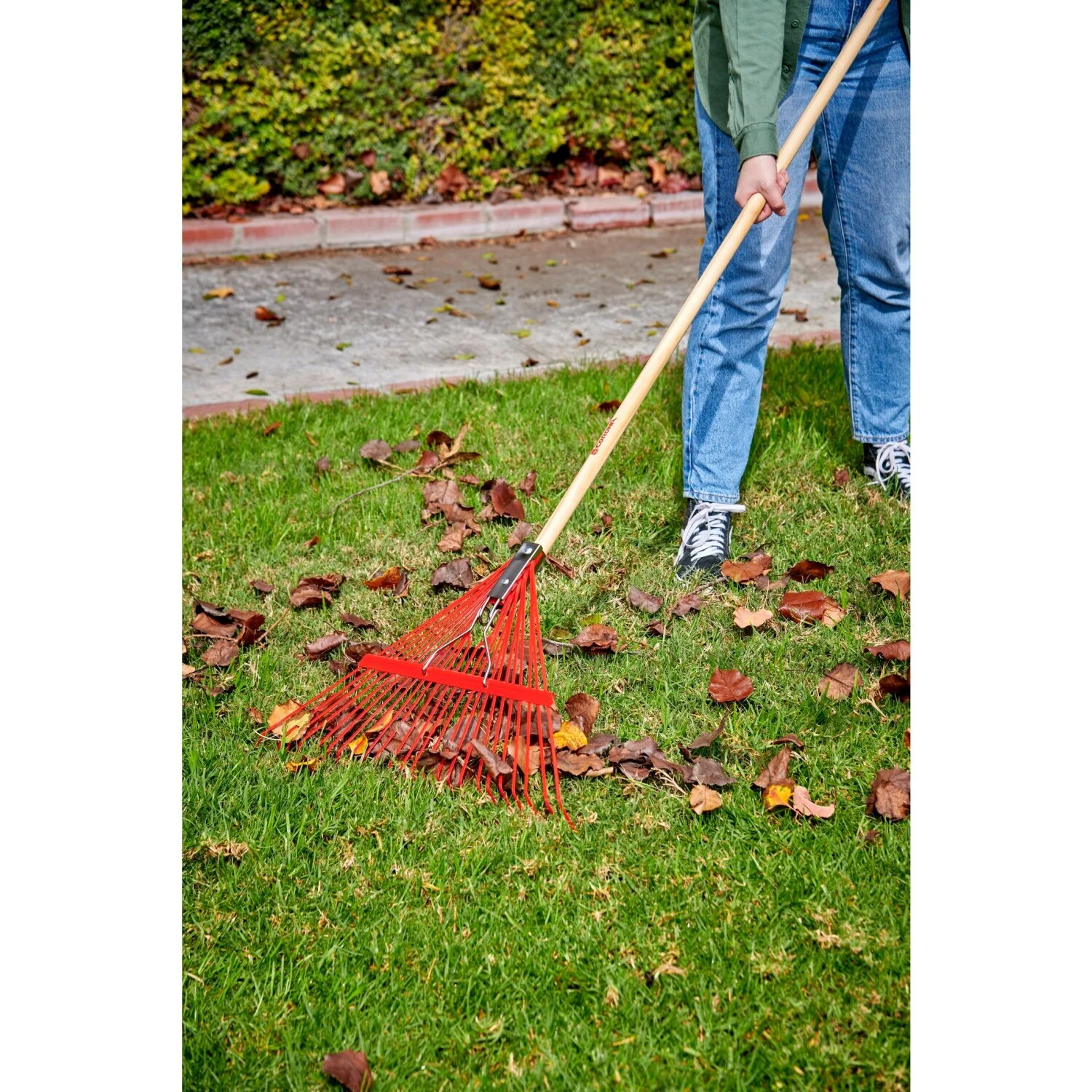 Corona RK 24003 Spring Brace Rake, 24 in. Head, 24 Tines, Hardwood Handle - Image 2