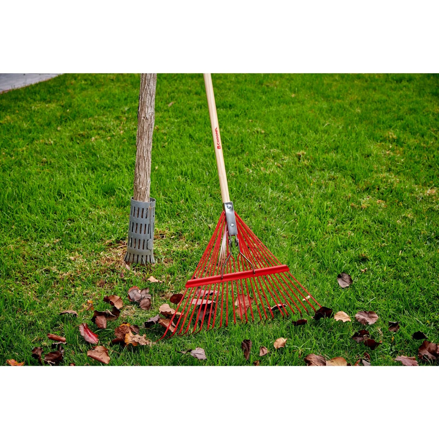 Corona RK 24003 Spring Brace Rake, 24 in. Head, 24 Tines, Hardwood Handle - Image 4
