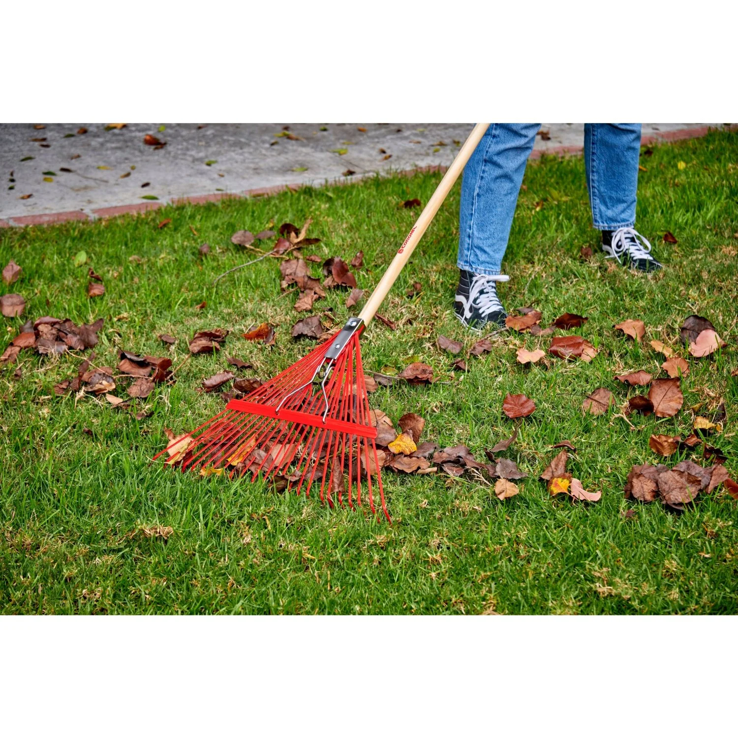 Corona RK 24003 Spring Brace Rake, 24 in. Head, 24 Tines, Hardwood Handle - Image 5