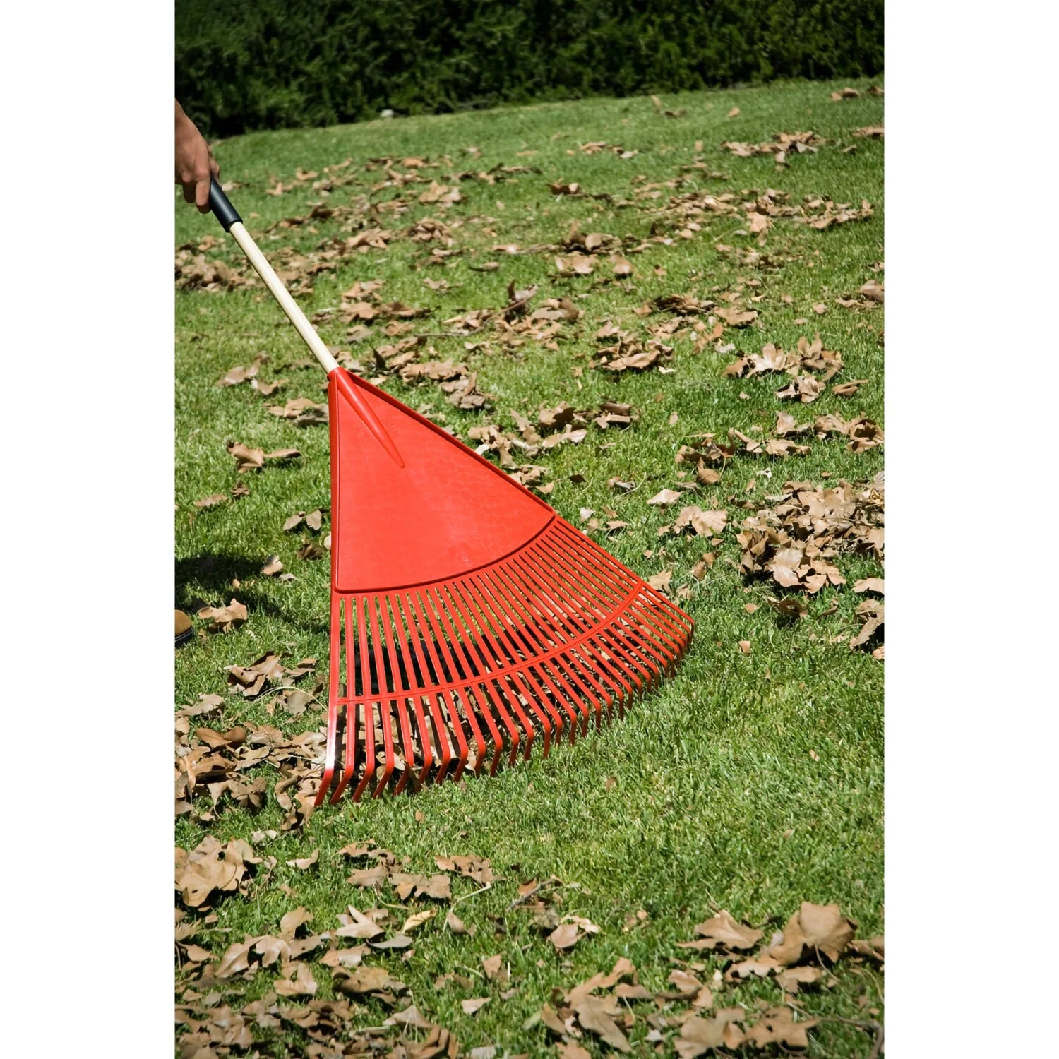Corona RK 25024 Poly Leaf Rake, 24 in. Head, 26 Tines, Wood Handle - Image 5
