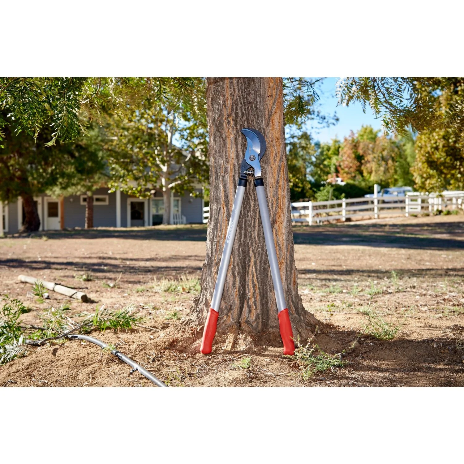 Corona SL 6500 Super-Duty Bypass Lopper, 3 in. Cut Capacity - Image 5