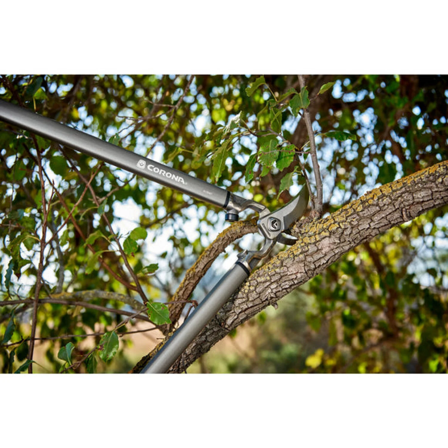 Corona-SL15167 · ClassicCUT® Bypass Lopper - 31 Inch - Image 8