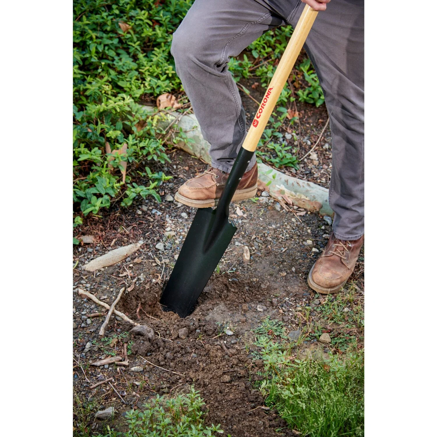 Corona SS 28000 Drain Spade Shovel, 15-Gauge, 48 in. Wood Handle - Image 5