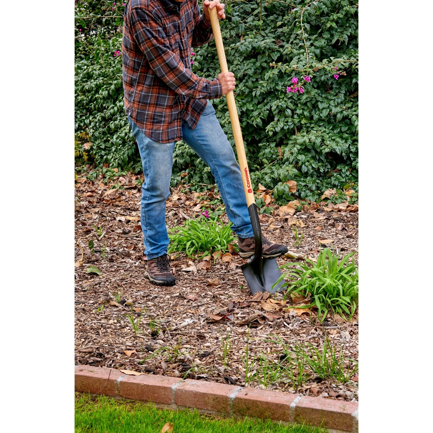 Corona SS 60000 Closed-Back, Round Point Shovel, 14-Gauge, 12 in. Head, 48 in. Wood Handle - Image 4