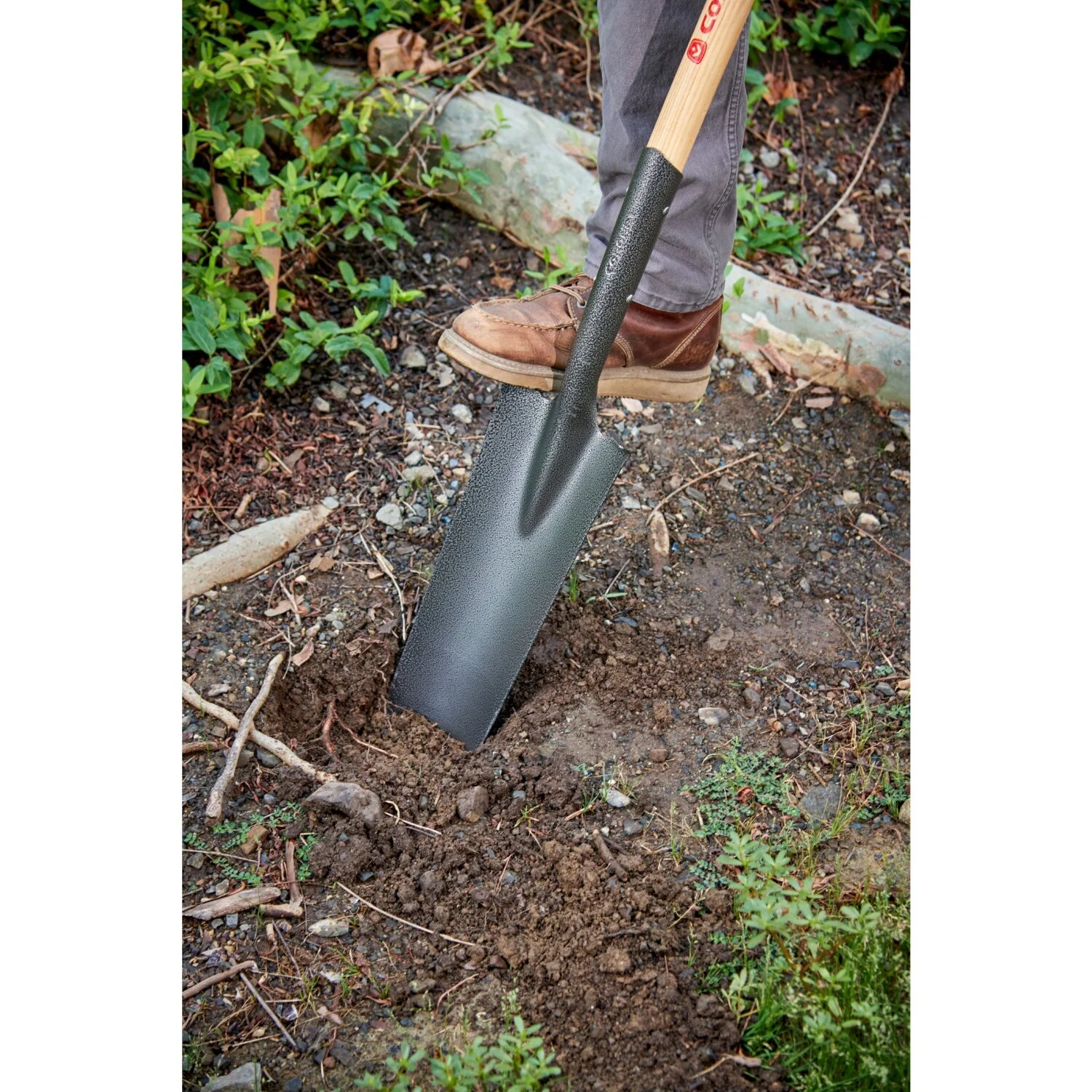 Corona SS 62010 Closed-Back Drain Spade Shovel, 14-Gauge, 30 in. Wood D-Grip Handle - Image 6