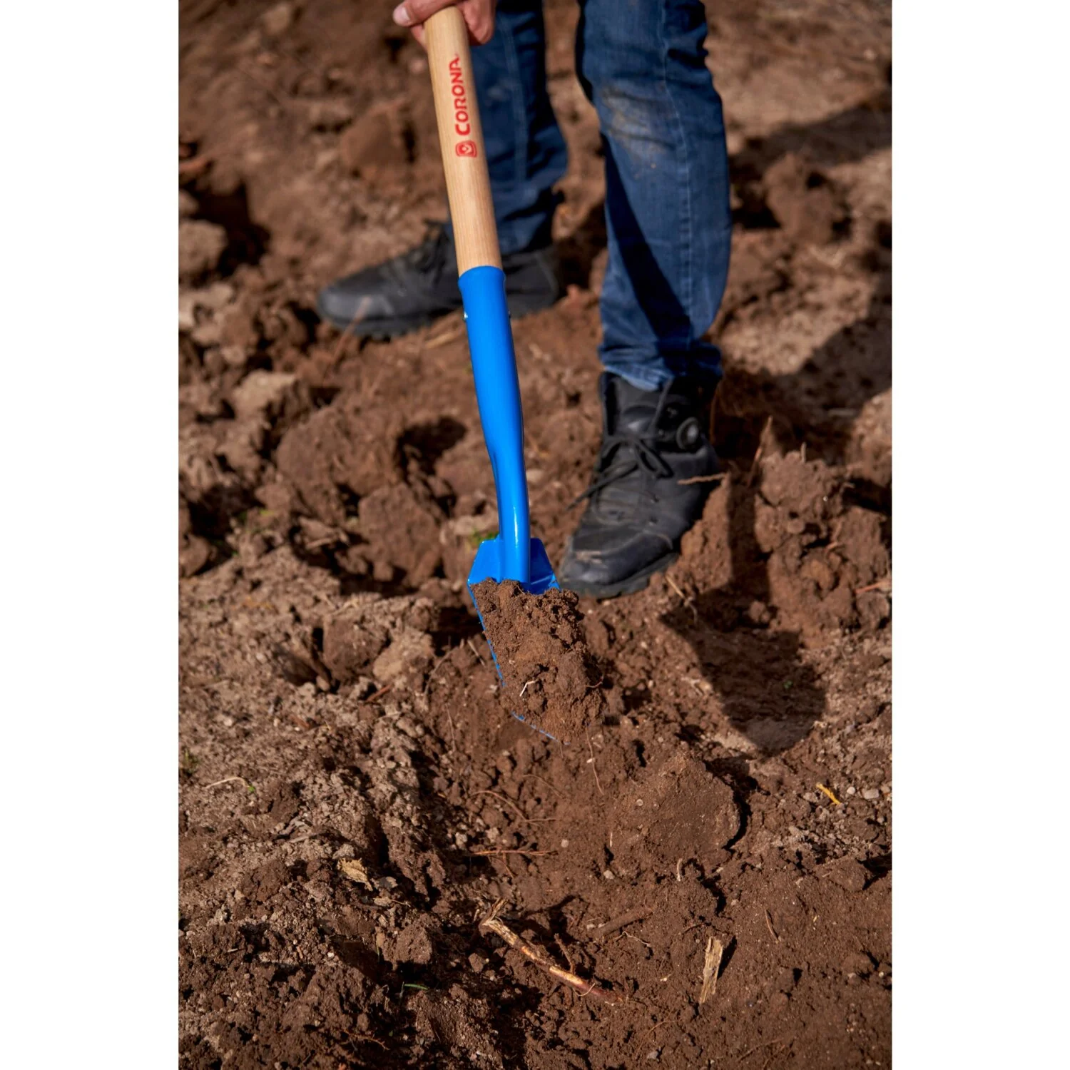 Corona SS 64103 Trench Shovel, 35 degree, 3 in. Head, Ash Hardwood Handle - Image 3