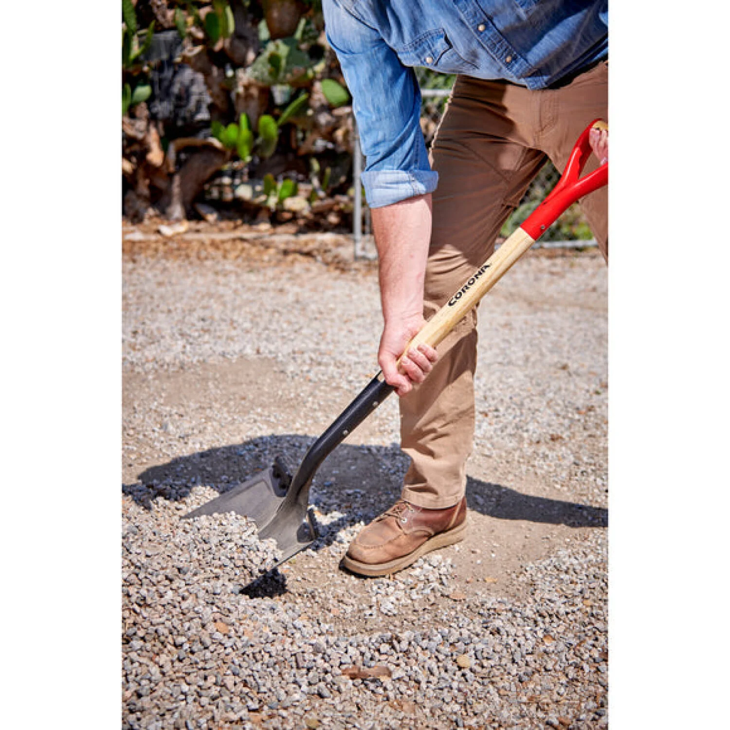 Corona SS16001 Square Point Hardwood D Grip Shovel, 14 Gauge - Image 12