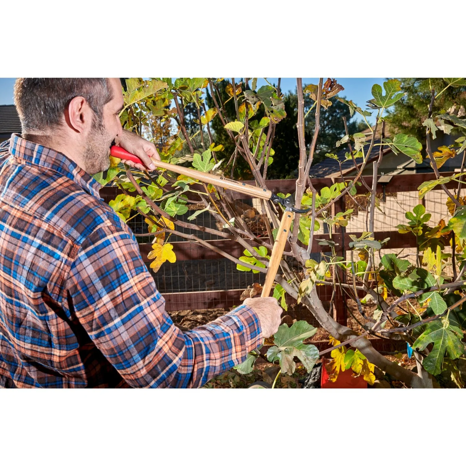 Corona WL 6350 Hickory Handle ClassicCU Bypass Lopper, 26 in., 1-1/2 in. Cut Capacity - Image 4