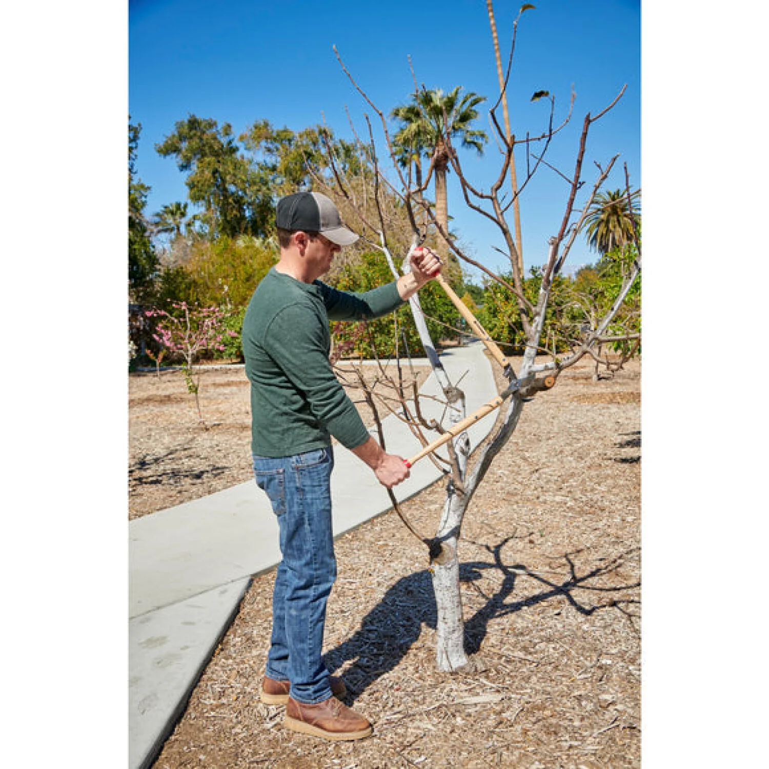 CORONA-WL 6420 · ClassicCUT® Bypass Lopper - 26 Inch - Image 5