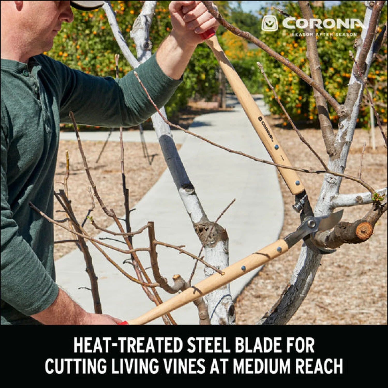CORONA-WL 6420 · ClassicCUT® Bypass Lopper - 26 Inch - Image 7