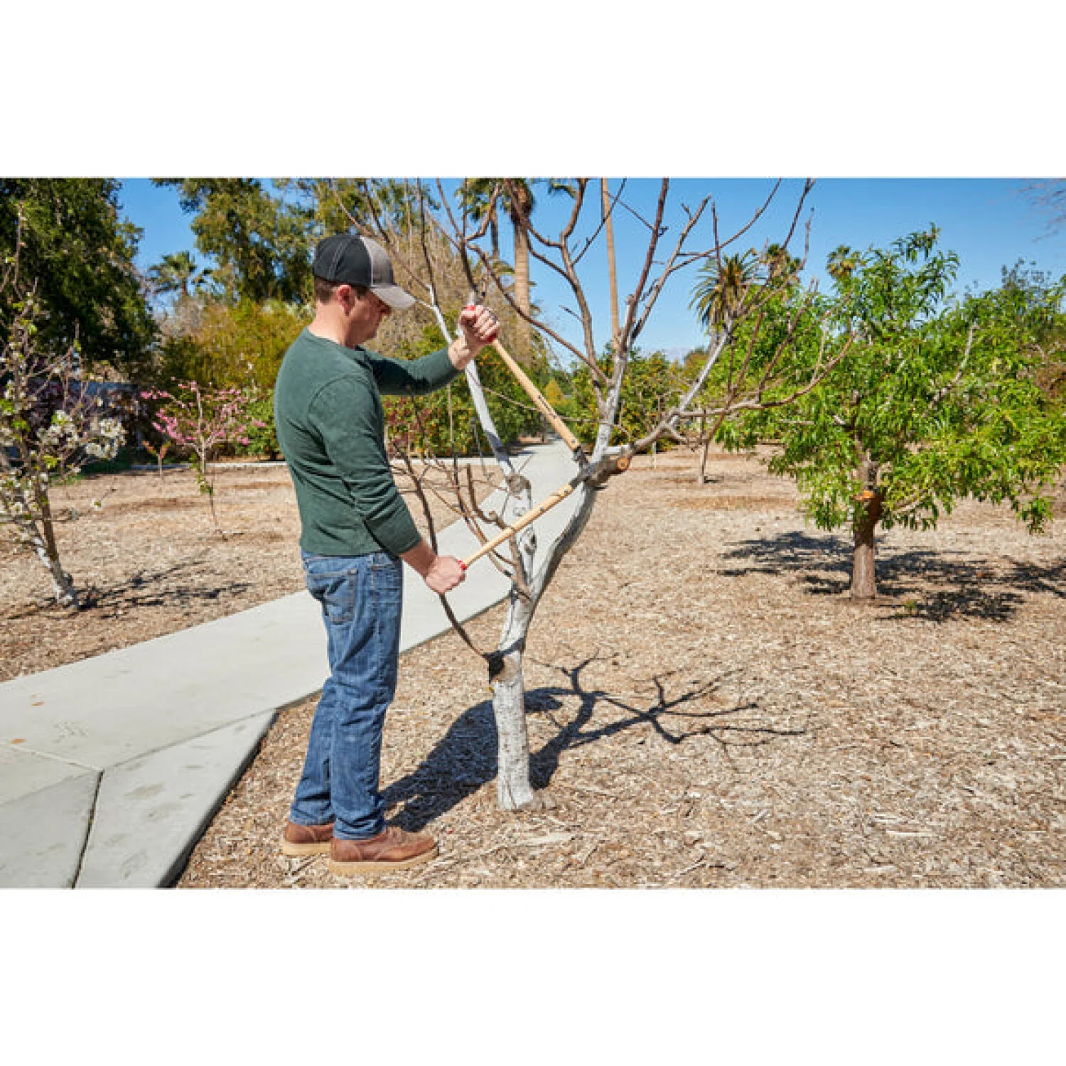 CORONA-WL 6420 · ClassicCUT® Bypass Lopper - 26 Inch - Image 9