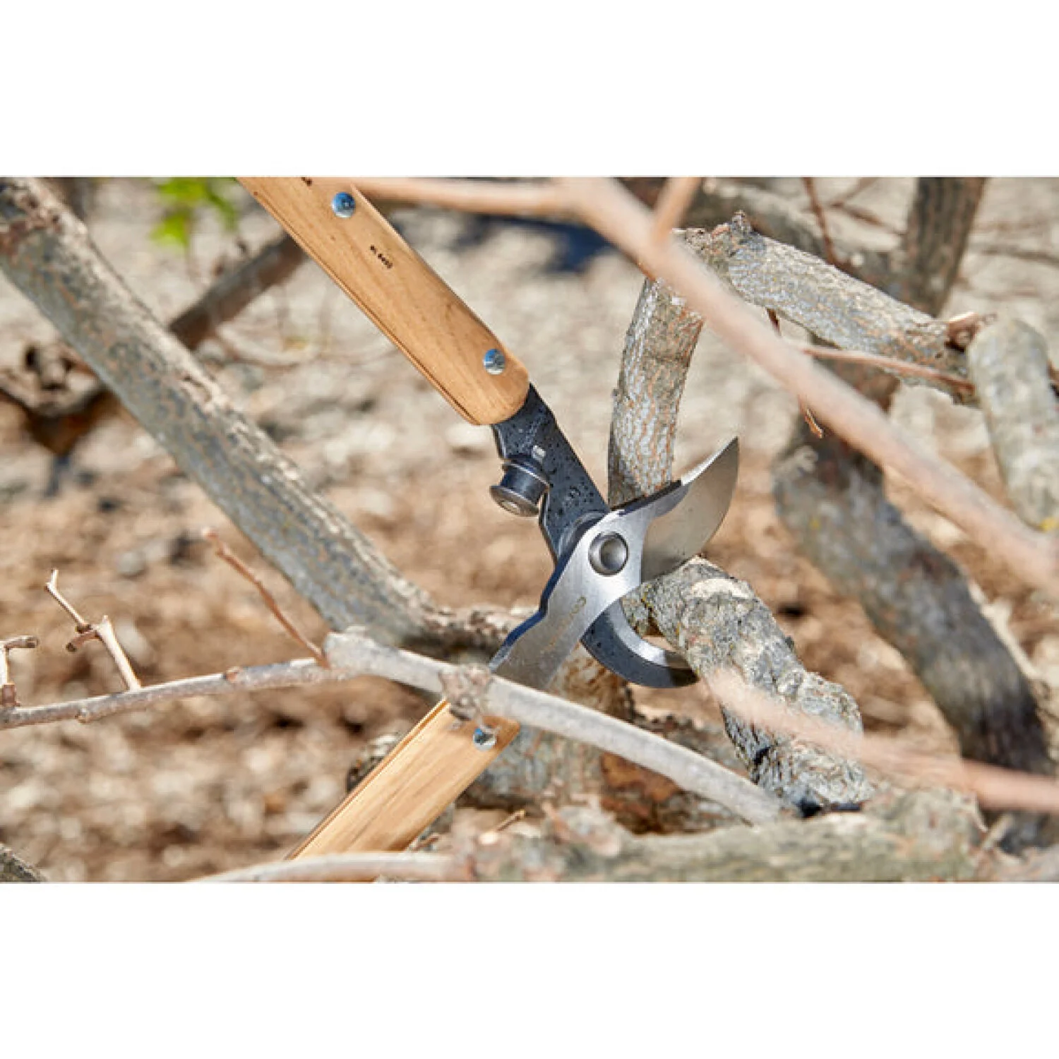 Corona WL 6450 ClassicCUT® Bypass Lopper - 32 Inch - Image 4