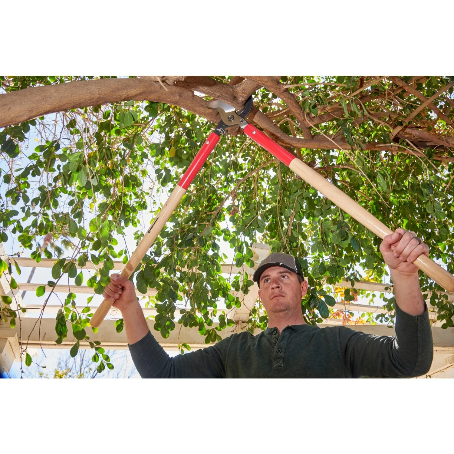Corona WL 6490 SuperDUTY Bypass Lopper, 37 in. Hickory Handles, 3 in. Cut Capacity - Image 4