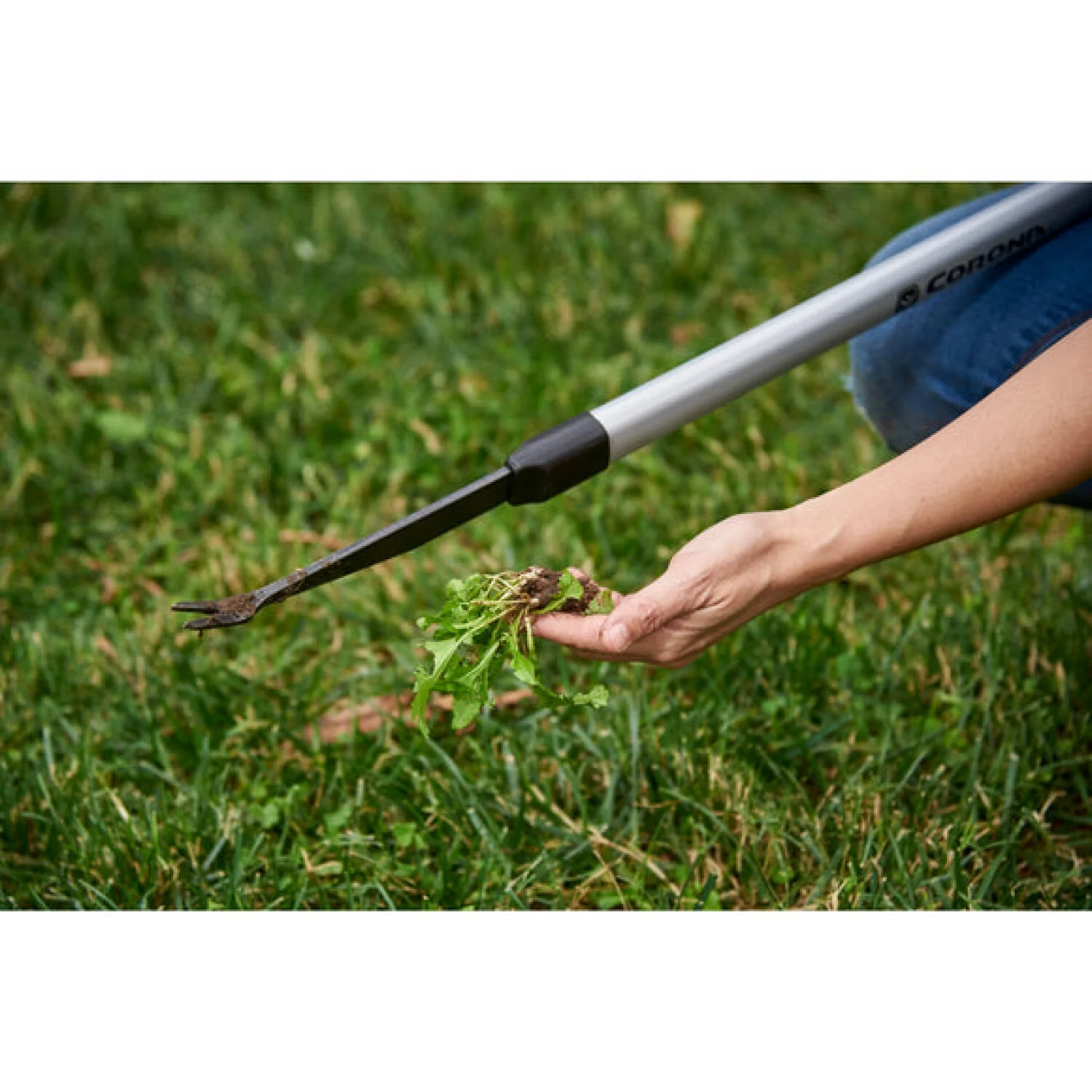 Corona GT 3254 · EXTENDED REACH 2-Prong Weeder with ComfortGEL® Grip - Image 6