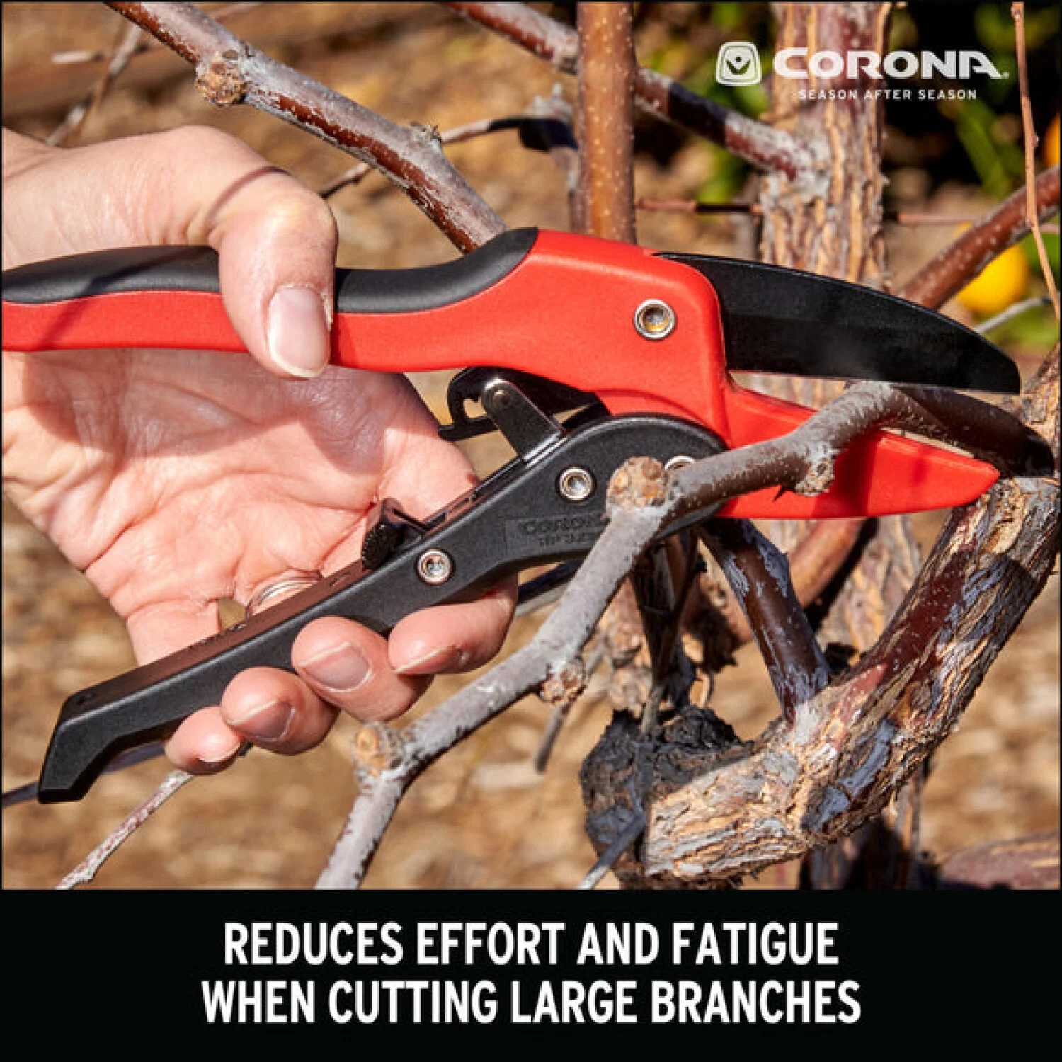 Corona-RP 3230 · Ratchet Pruner - 3/4 Inch - Image 12