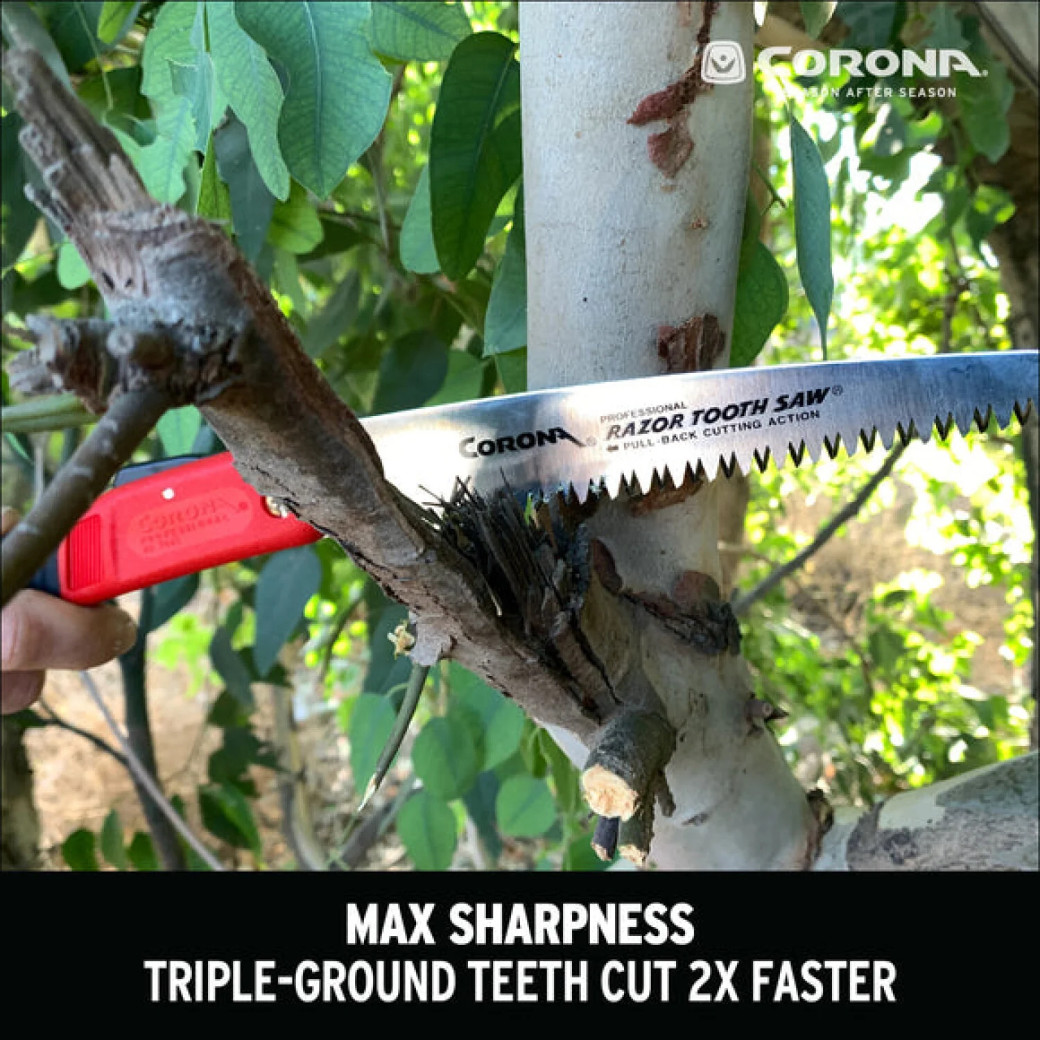 Corona RS 7041 · RazorTOOTH Saw Arborist Folding Pruning Saw - 7 Inch - Image 5
