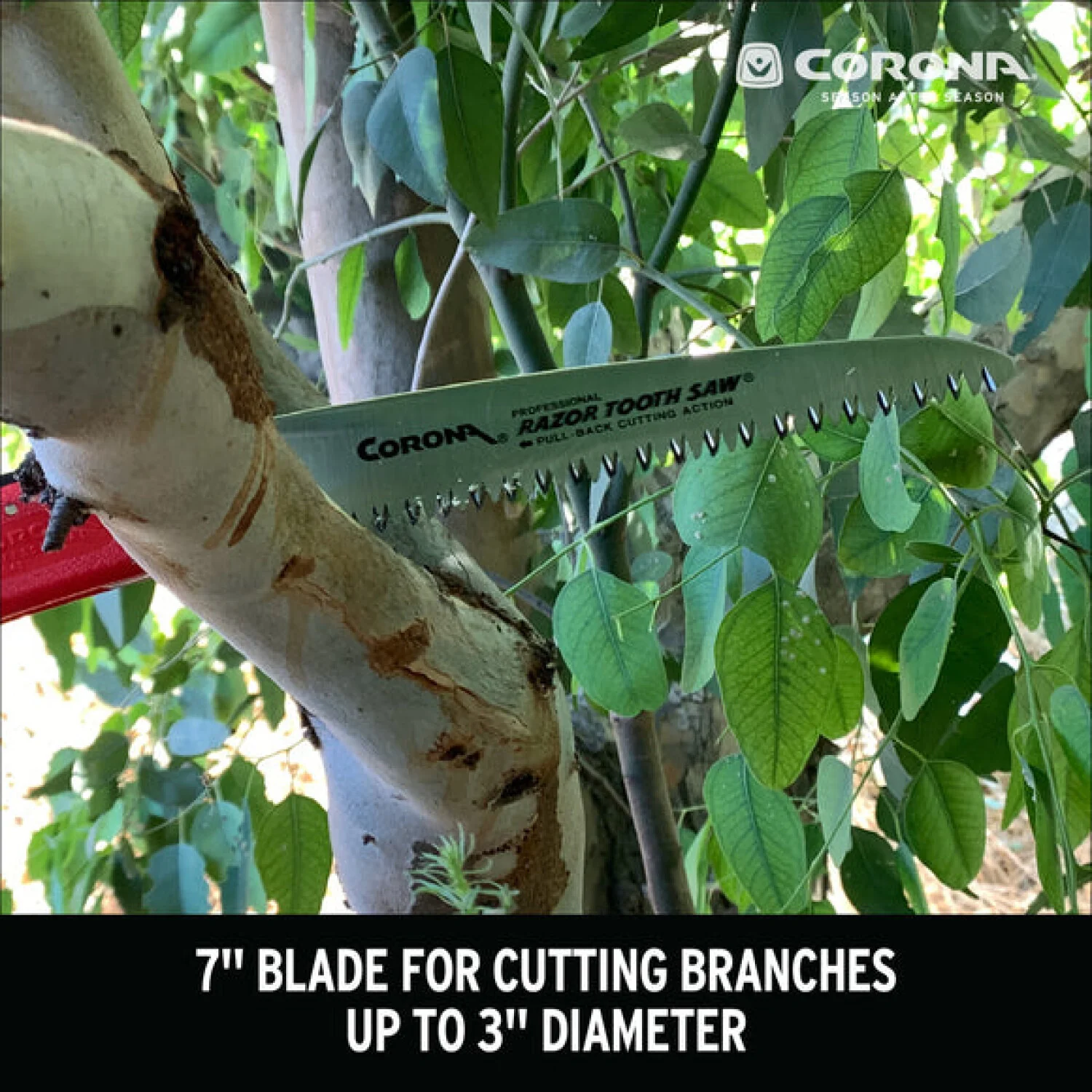 Corona RS 7041 · RazorTOOTH Saw Arborist Folding Pruning Saw - 7 Inch - Image 6