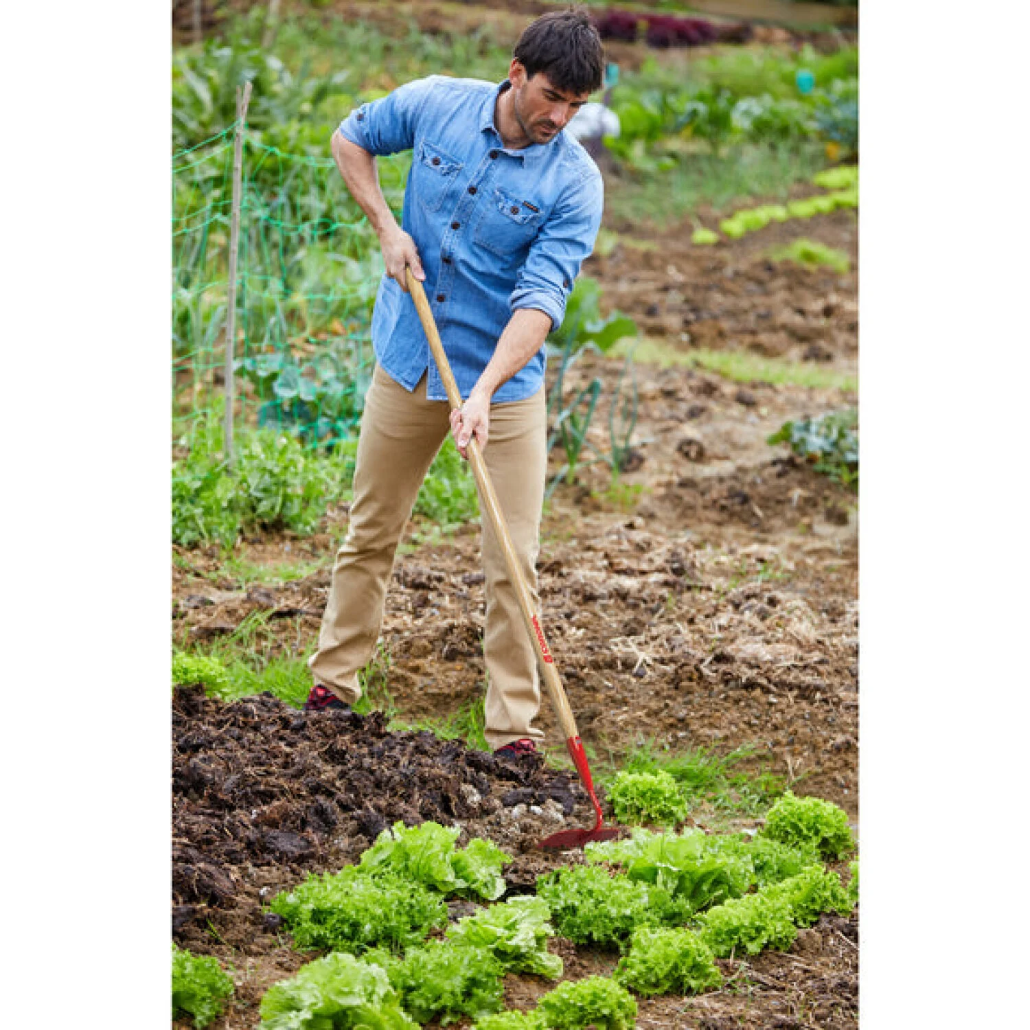 Corona-SH 20000 · Garden Hoe - 6 Inch - Image 2