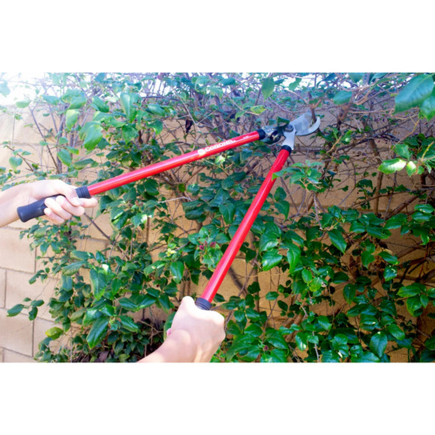 Corona SP10004 · Corona Pruner Lopper and Shear Bonus Pack - Image 4