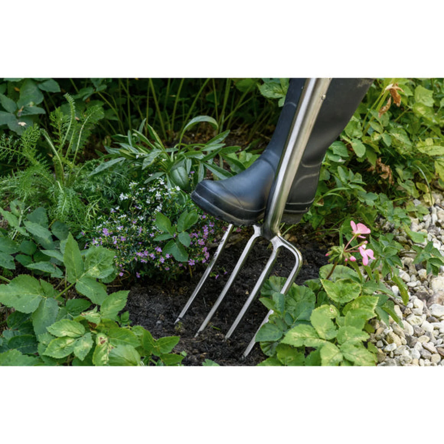 Corona GTB/SFBRHS RHS® Stainless FSC Wood Border Fork - Image 4