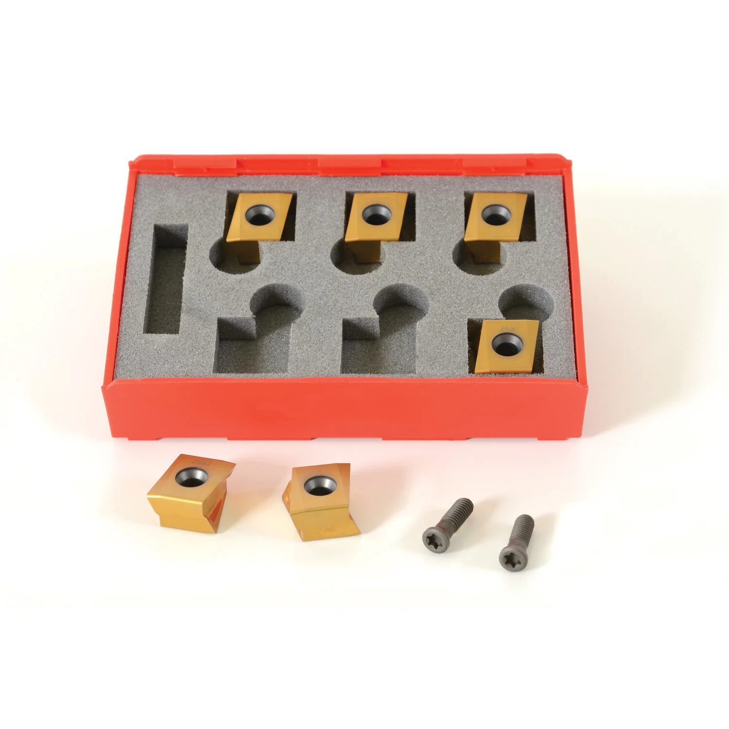 Ridgid 48873 Pack of 6 Inserts, 1 Anti-Seize Grease, 2 Screws, Case